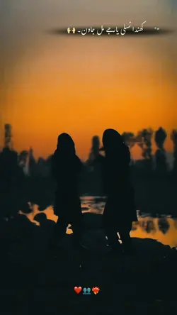 نسلی یار، دوست، بیلی