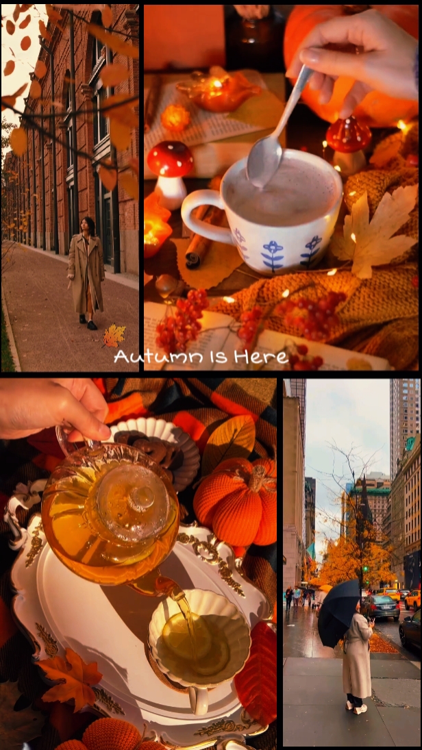 Autumn Vibes 