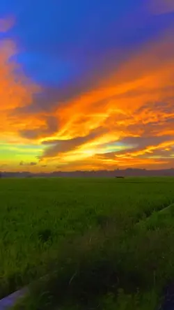 jaranan paradise