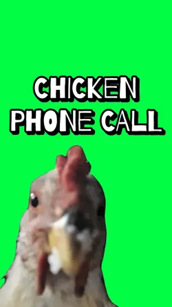 CHICKEN PHONE CALL