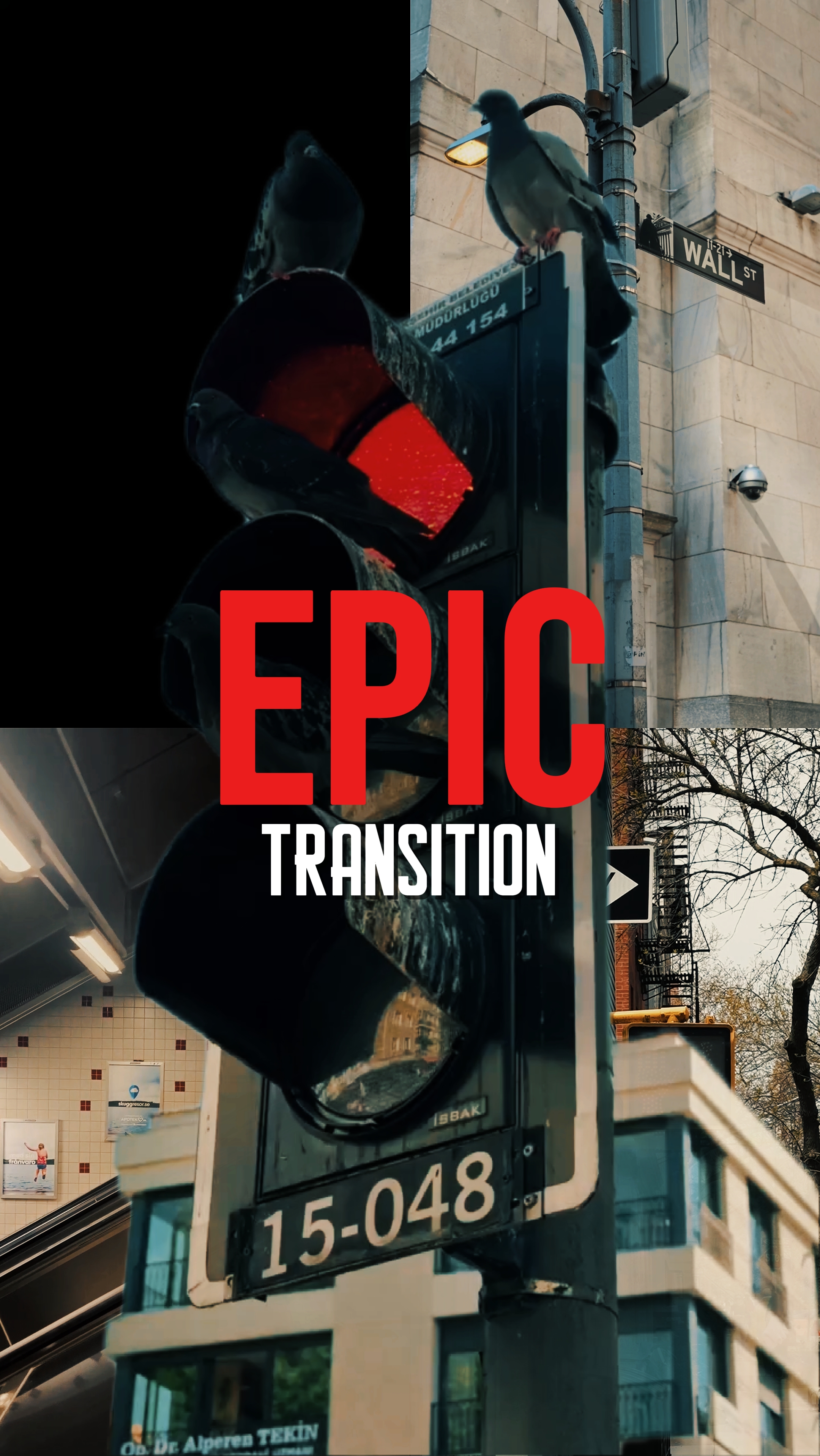 TRANSITION ÉPIQUE 