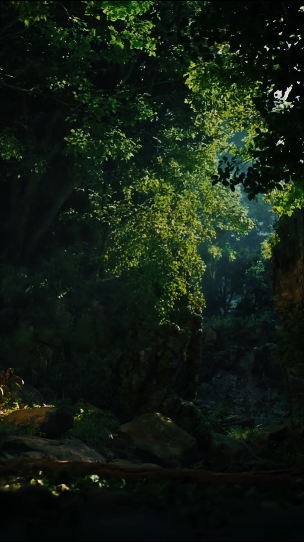 Nature • Cinematic