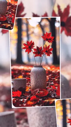 Nature Flowers