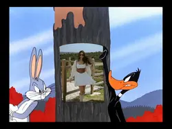 Bugs Bunny & Daffy 