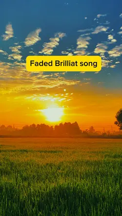 Faded Brilliant Song