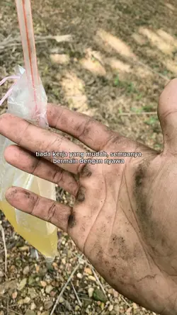 Tiada kerja yang mud