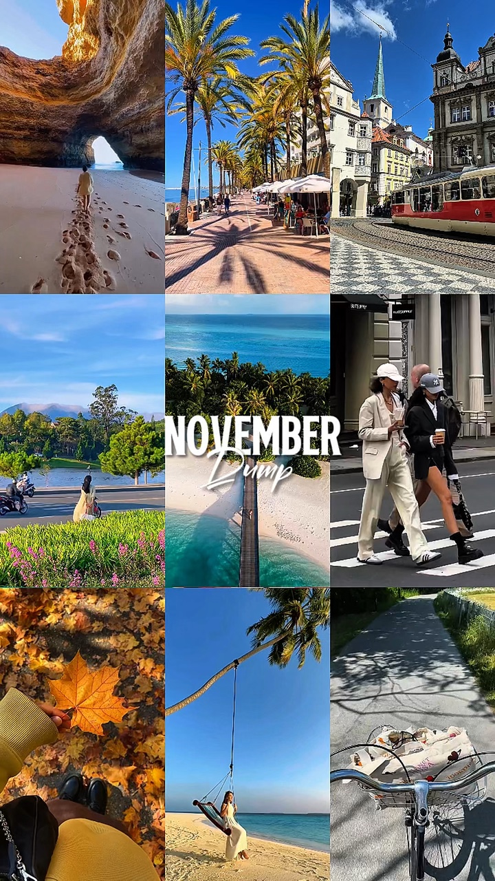 Despejo de novembro