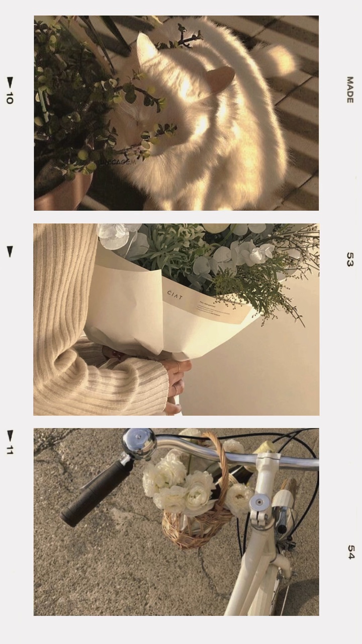 Frame 3 foto
