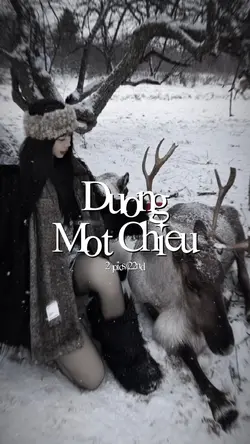 2 ẢNH MÀU NHẠT