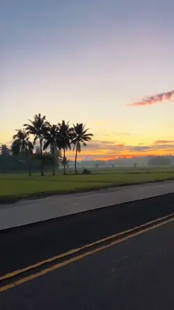 1 video aesthetic