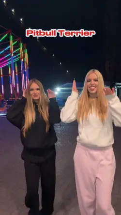Pitbull Terrier!❤️❤️❤️