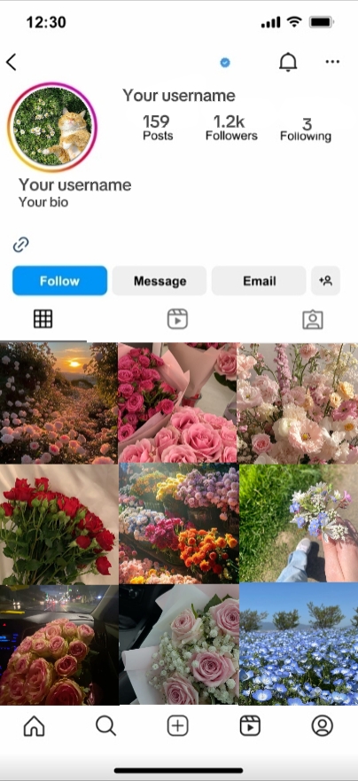 Cover Picture