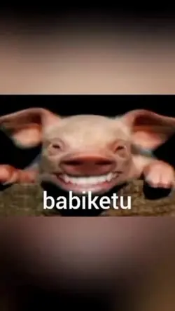 mentahan babiketu