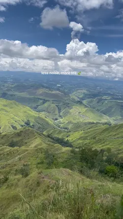 less noise more life