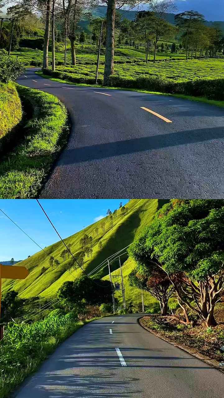 2 video collage