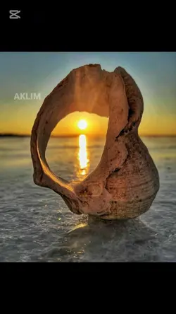 aklım yanına koştu 