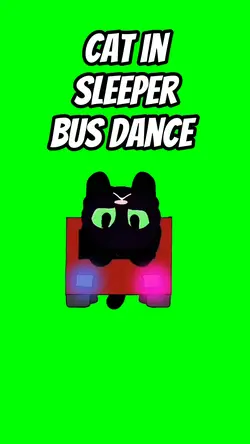 Cat sleeper bus 