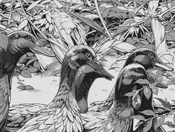 สร้างภาพ