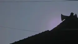 Cinematic Video Shot