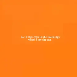 smthin in the orange