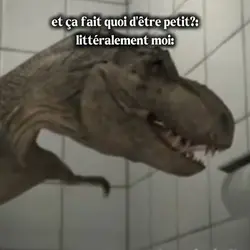 humour