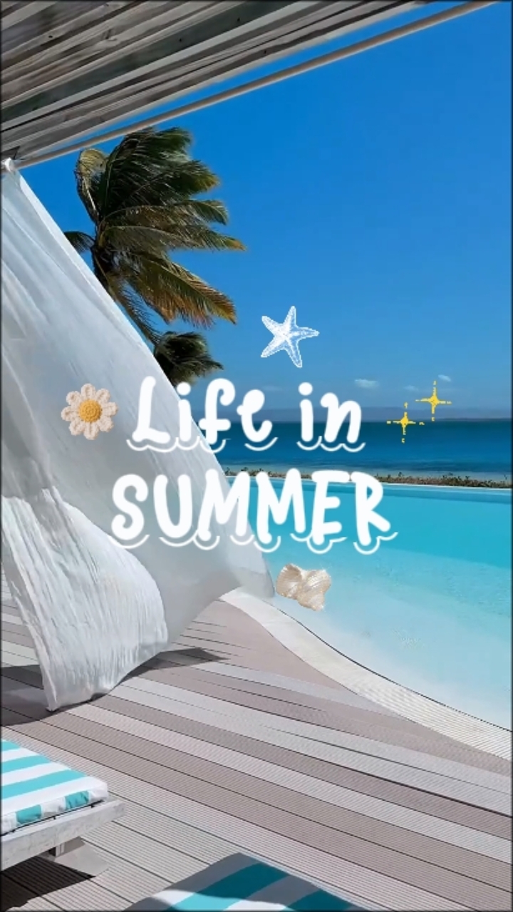 Life in Summer