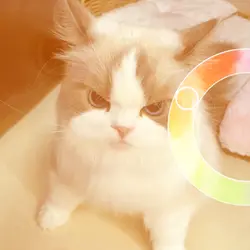 color trend