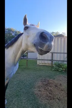 ChatGPT 🌑 NOT ME!