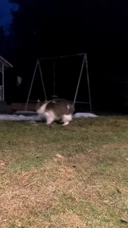 Slowmo