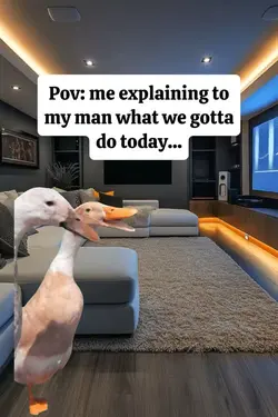 explaining to my man