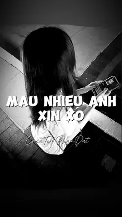 MẪU NHIỀU ẢNH
