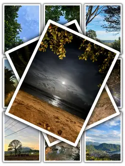 11Pic Tran Aesthetic