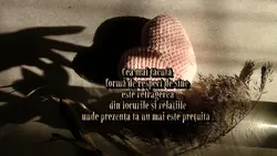 Cea mai bună alegere