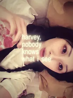 harvey 