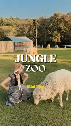 Jungle zoo vlog