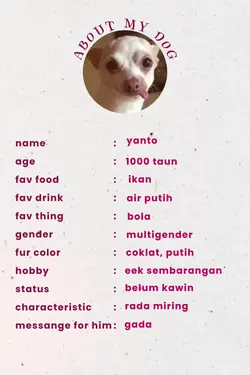 about my dog