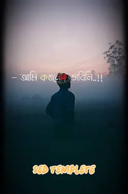 আমি কখনো বাভি নি