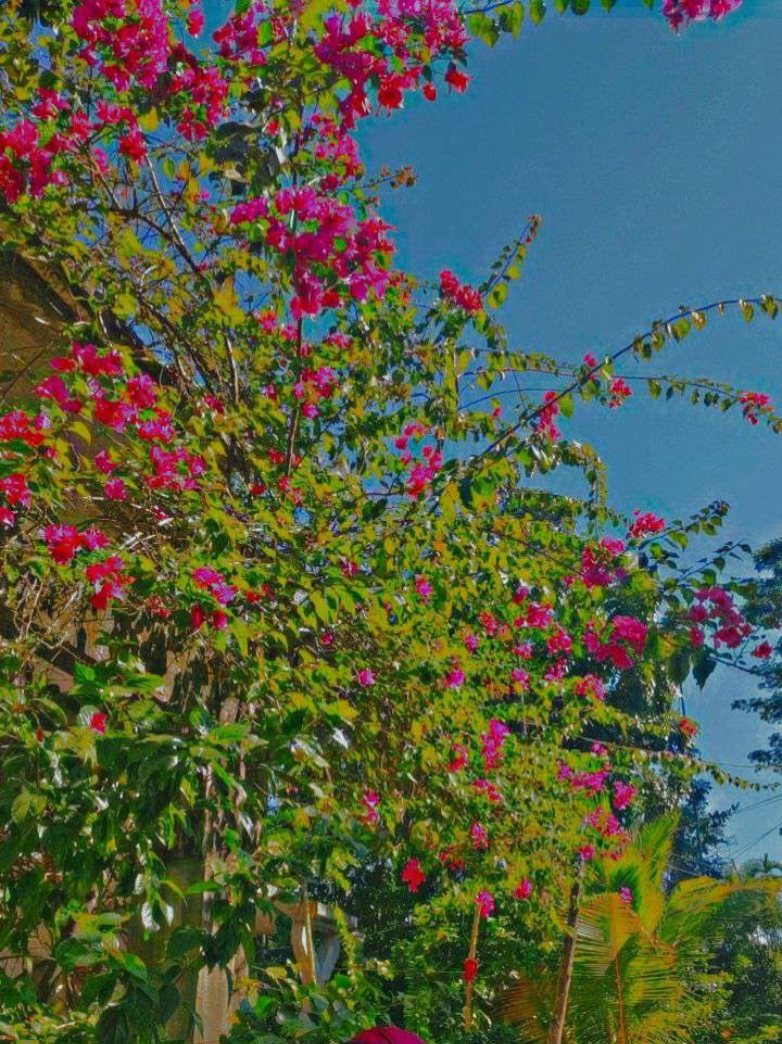 আমাকে আমার রবের 