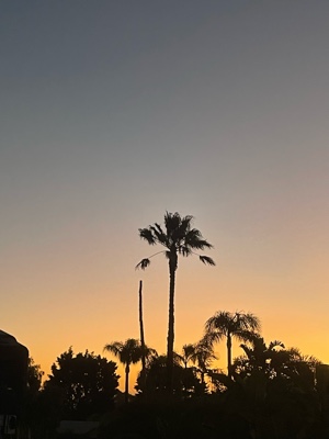 an end Eventually 😭💔