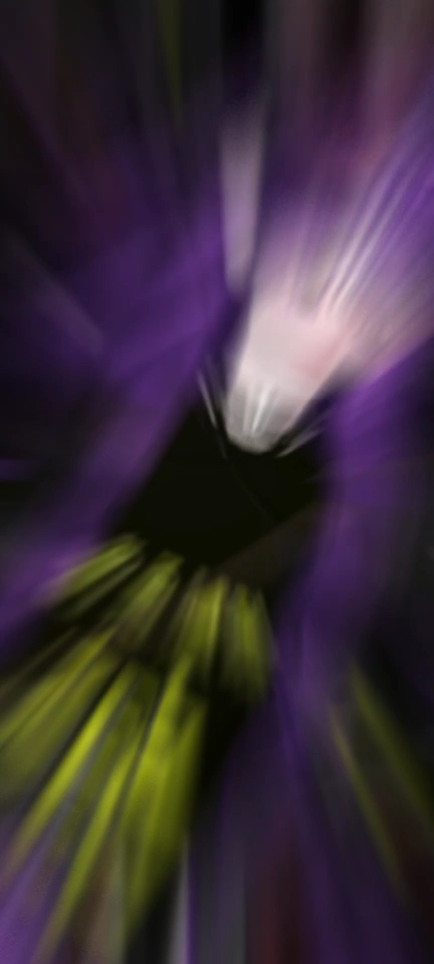 嬉しかった事や進化した事