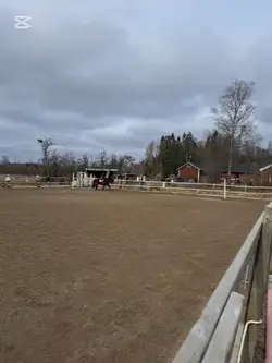 mitt favorit ljud