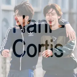 nani - cortis