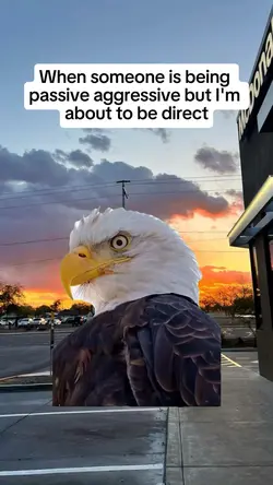when someone is