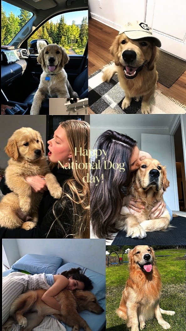 Día Nacional del Perro
