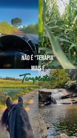 Meu sertão 