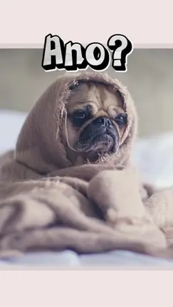 ano?