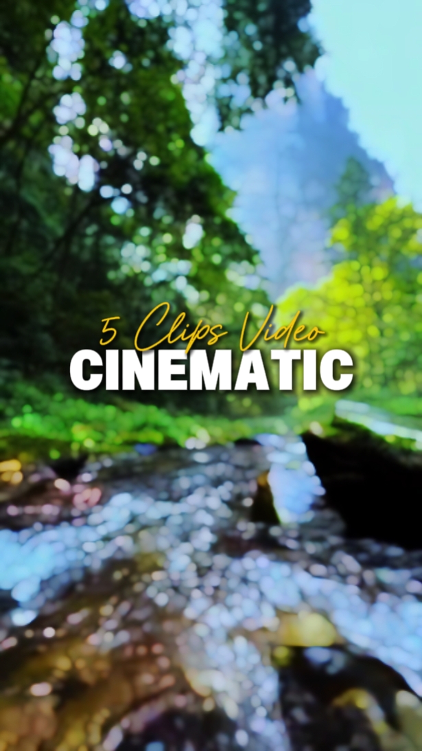 5 Clips Video 