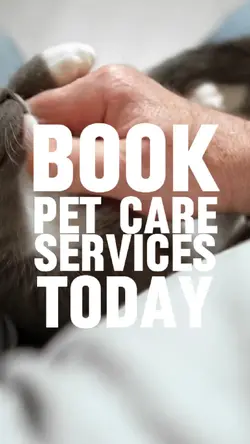 PET CARE SERVICES