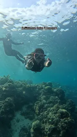 Moalboal Snorkeling