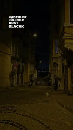 Çıkmaz bir sokakta..